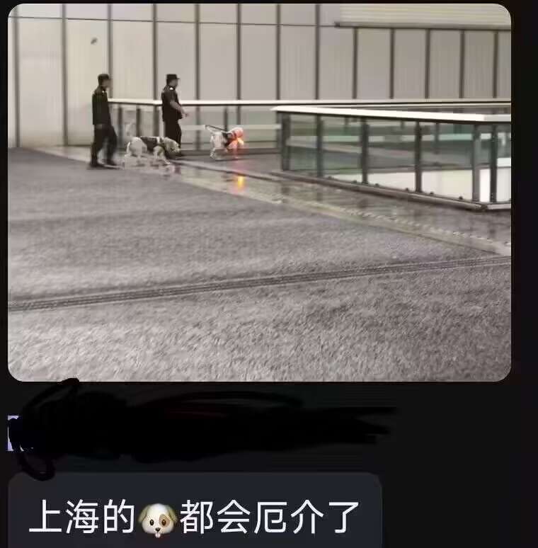 这就是上海.jpg